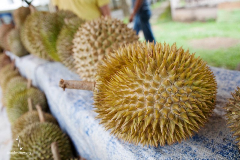 Durian King of Fruits Petaling Jaya, Selangor Malaysia MW Eats