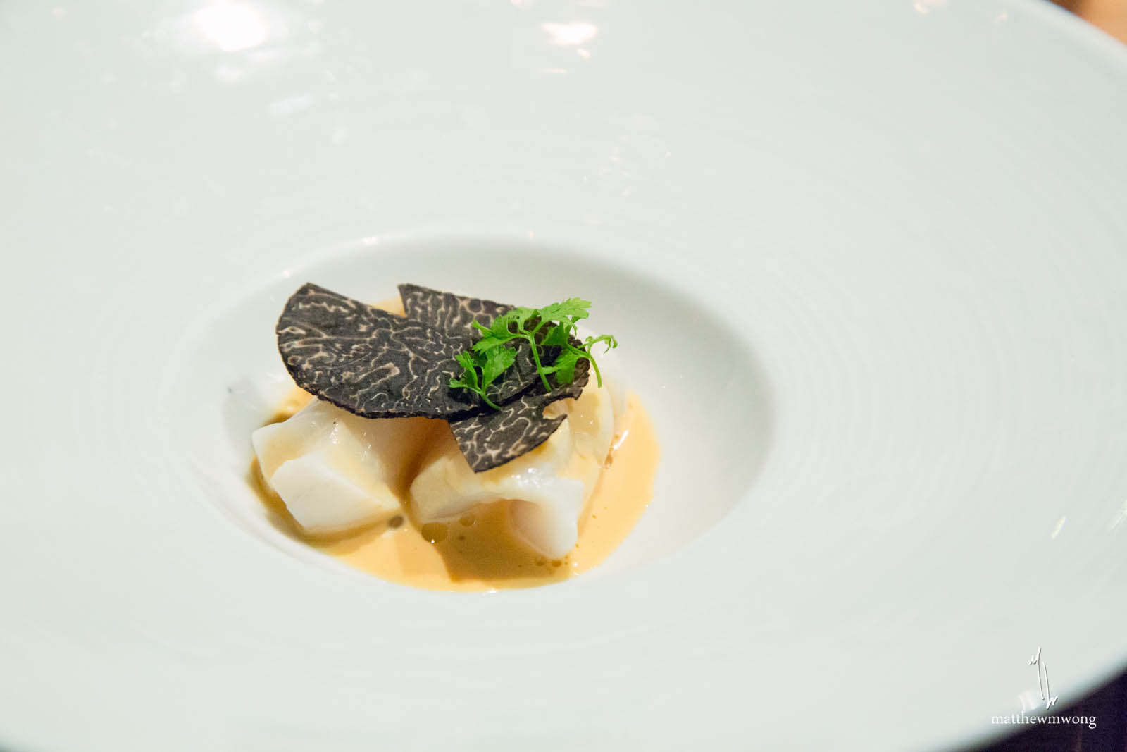 Diver Sea Scallop - australian perigord truffle, sake sea urchin jus, chervil