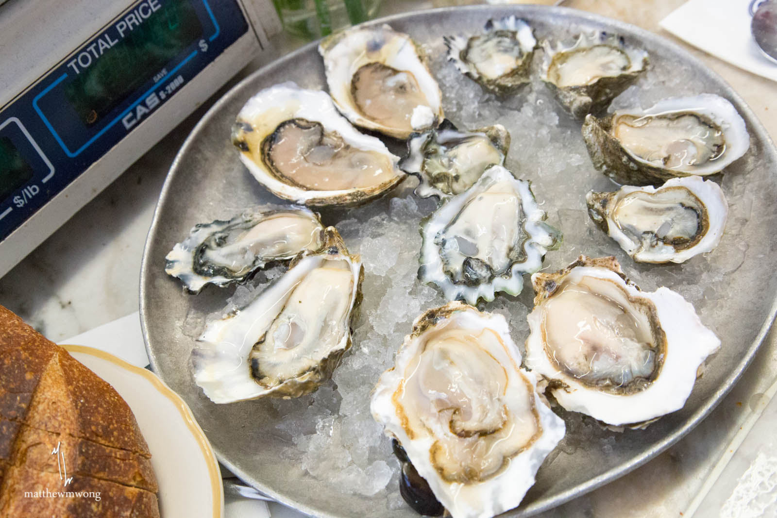 Oysters on the half shell