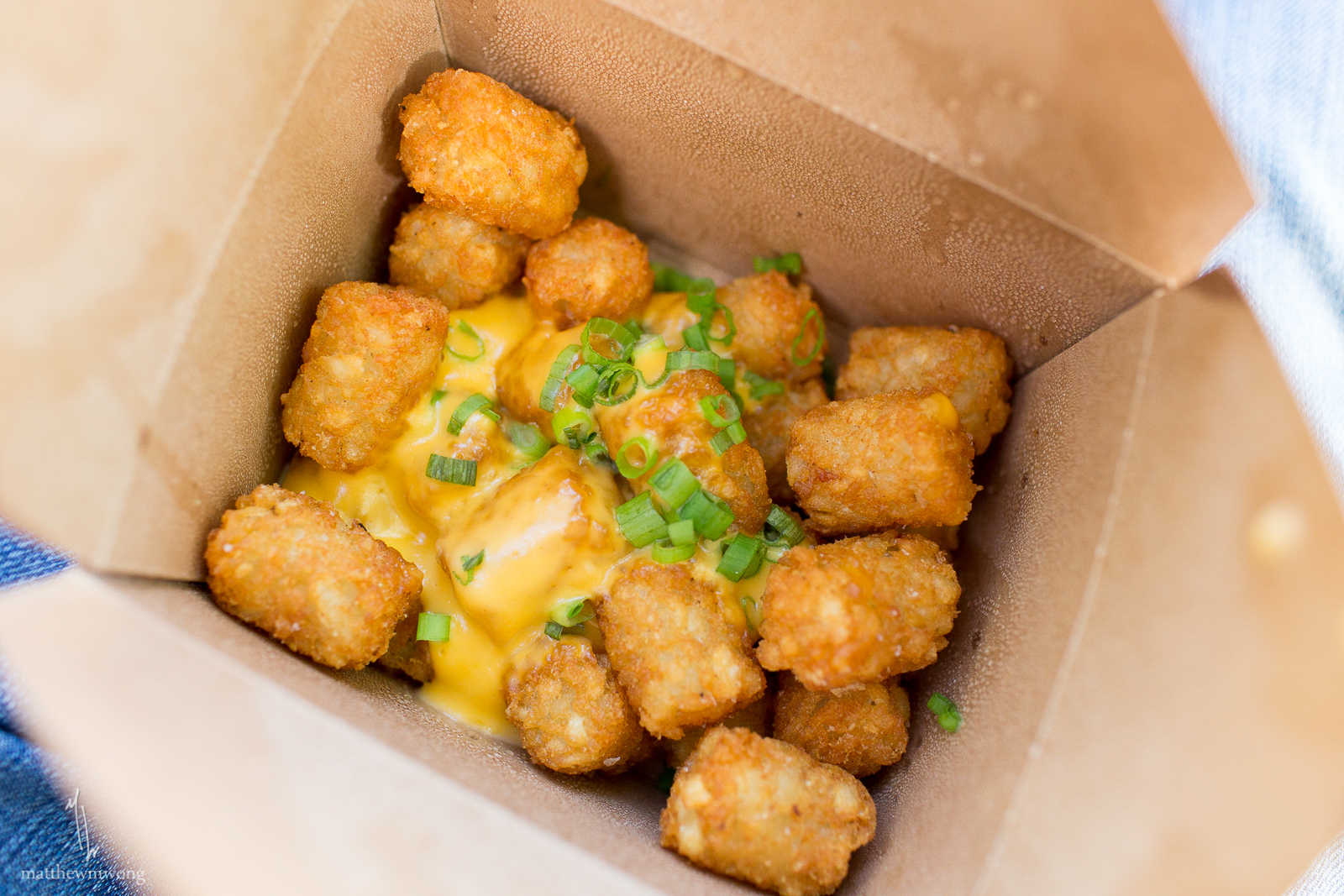 Green Onion and Cheddar Tater Tots